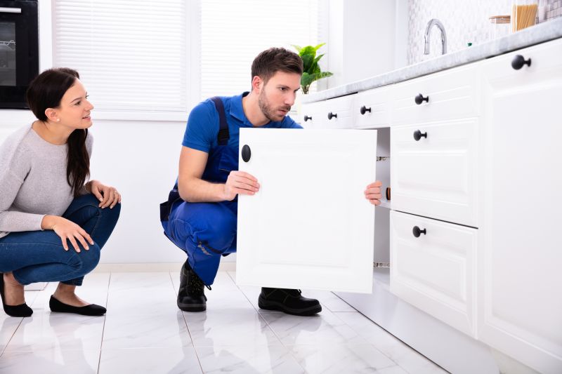 Bathroom Cabinet Repair